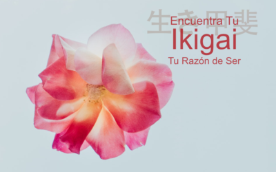 Encuentra Tu “Ikigai”, Tu Razón de Ser